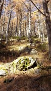 10 BOSCO
